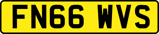 FN66WVS