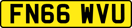 FN66WVU