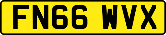 FN66WVX