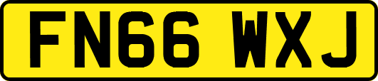 FN66WXJ