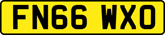 FN66WXO