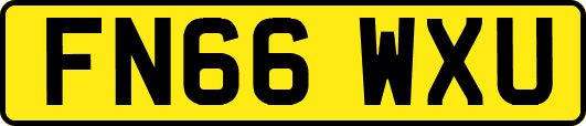 FN66WXU