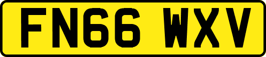 FN66WXV