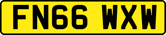 FN66WXW
