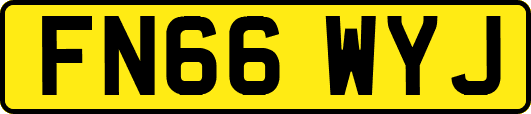 FN66WYJ