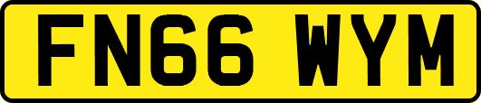 FN66WYM