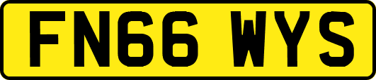 FN66WYS