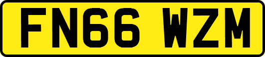 FN66WZM