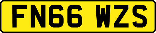 FN66WZS