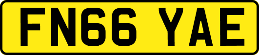 FN66YAE