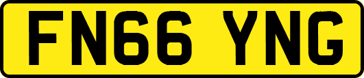 FN66YNG