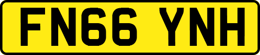 FN66YNH