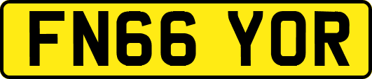 FN66YOR