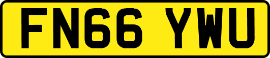 FN66YWU