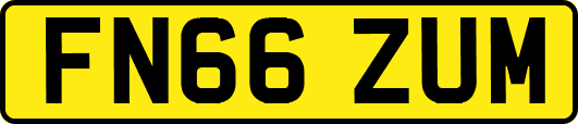 FN66ZUM