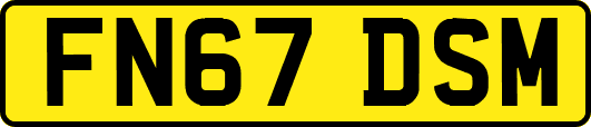 FN67DSM