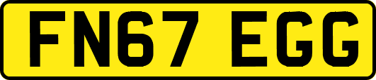 FN67EGG
