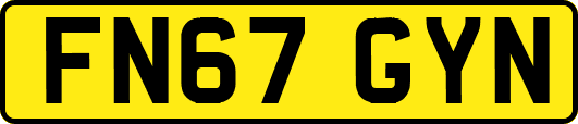 FN67GYN