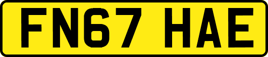 FN67HAE