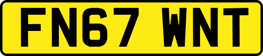 FN67WNT