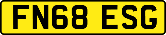 FN68ESG