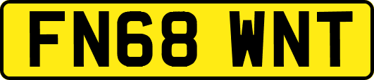 FN68WNT