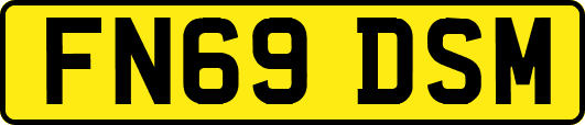 FN69DSM