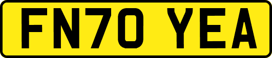 FN70YEA