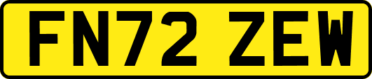 FN72ZEW