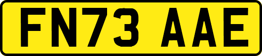 FN73AAE