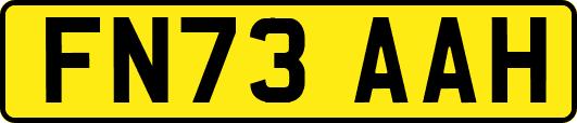 FN73AAH