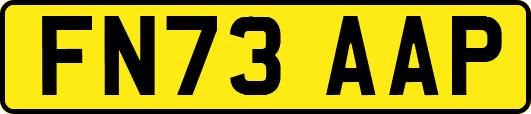 FN73AAP