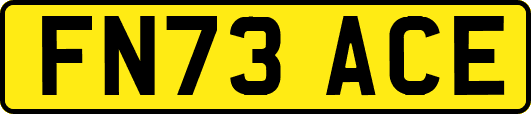 FN73ACE