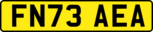 FN73AEA