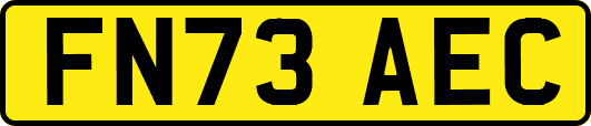 FN73AEC