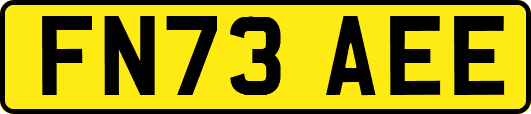 FN73AEE
