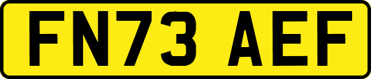 FN73AEF