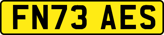 FN73AES