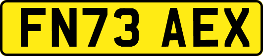 FN73AEX