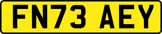 FN73AEY
