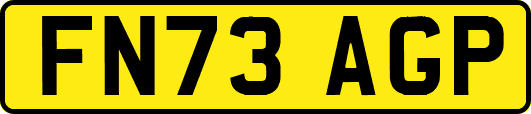 FN73AGP