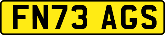 FN73AGS