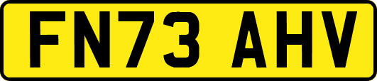 FN73AHV