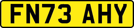 FN73AHY