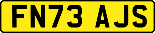 FN73AJS
