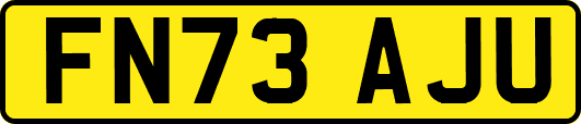 FN73AJU