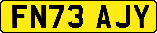 FN73AJY