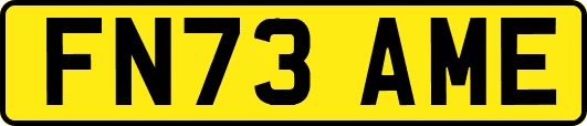 FN73AME