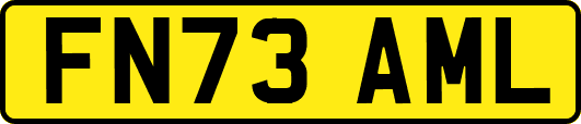 FN73AML