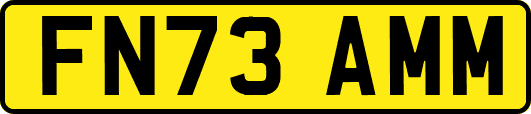 FN73AMM